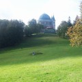 DSCF8010